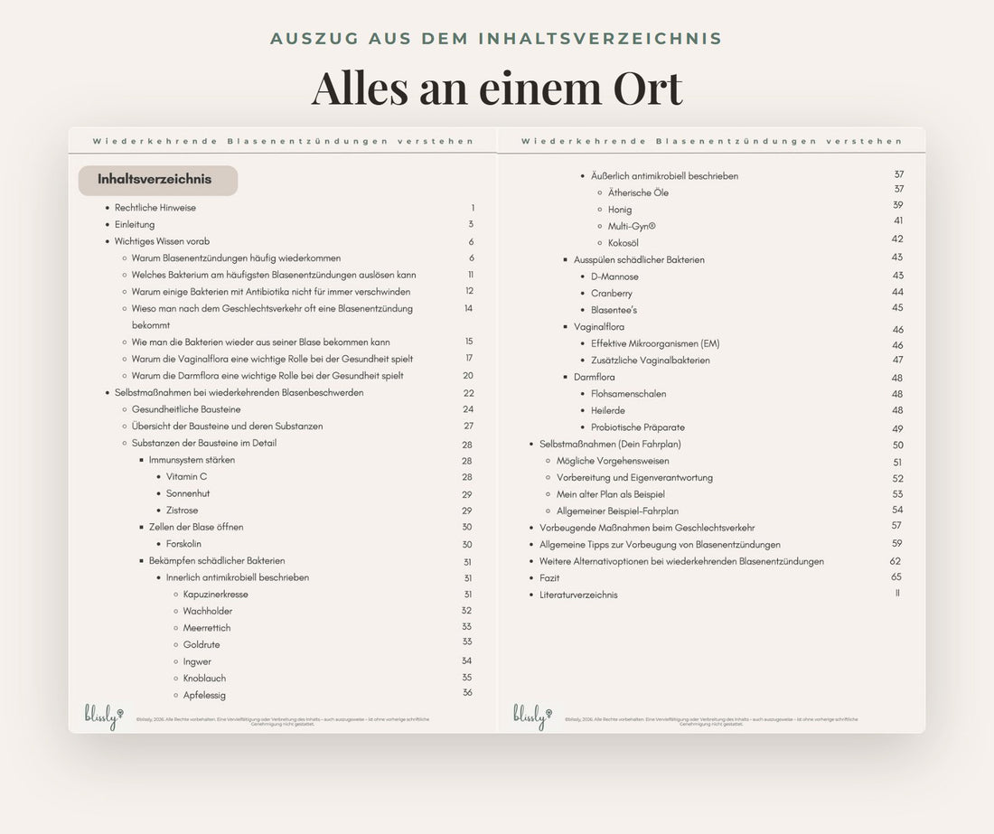 Auszug aus dem Inhaltsverzeichnis des Ratgebers
