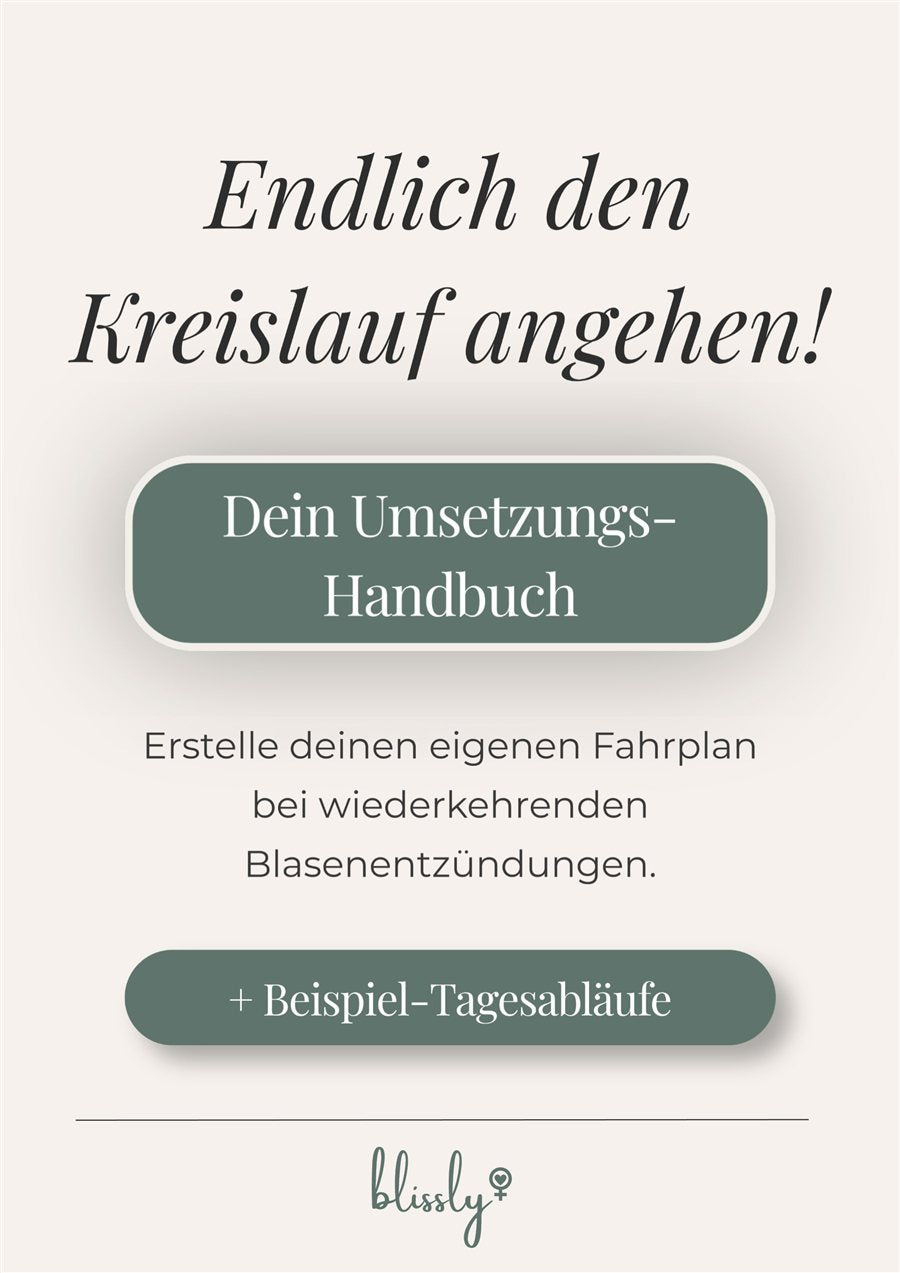 Titelseite des Umsetzungs-Handbuchs