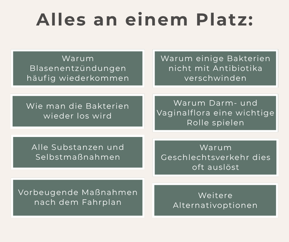 Wiederkehrende Blasenentzündung verstehen & durchbrechen - Ratgeber