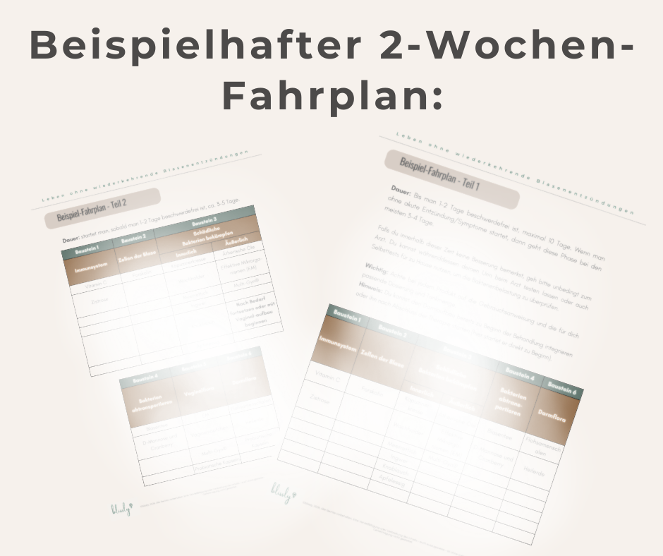 Wiederkehrende Blasenentzündung verstehen & durchbrechen - Ratgeber