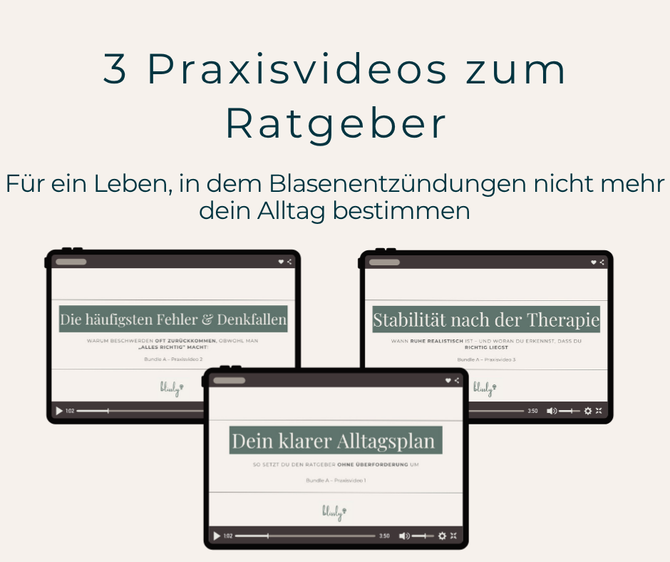 Praxisvideos zum Ratgeber