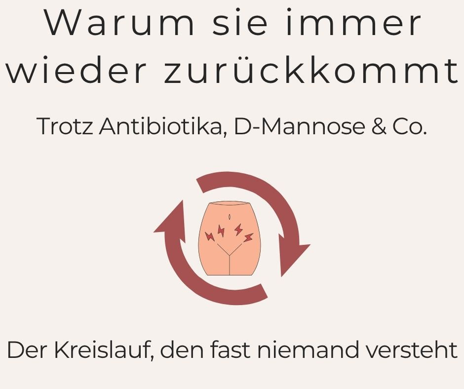 Wiederkehrende Blasenentzündung verstehen & durchbrechen - Ratgeber