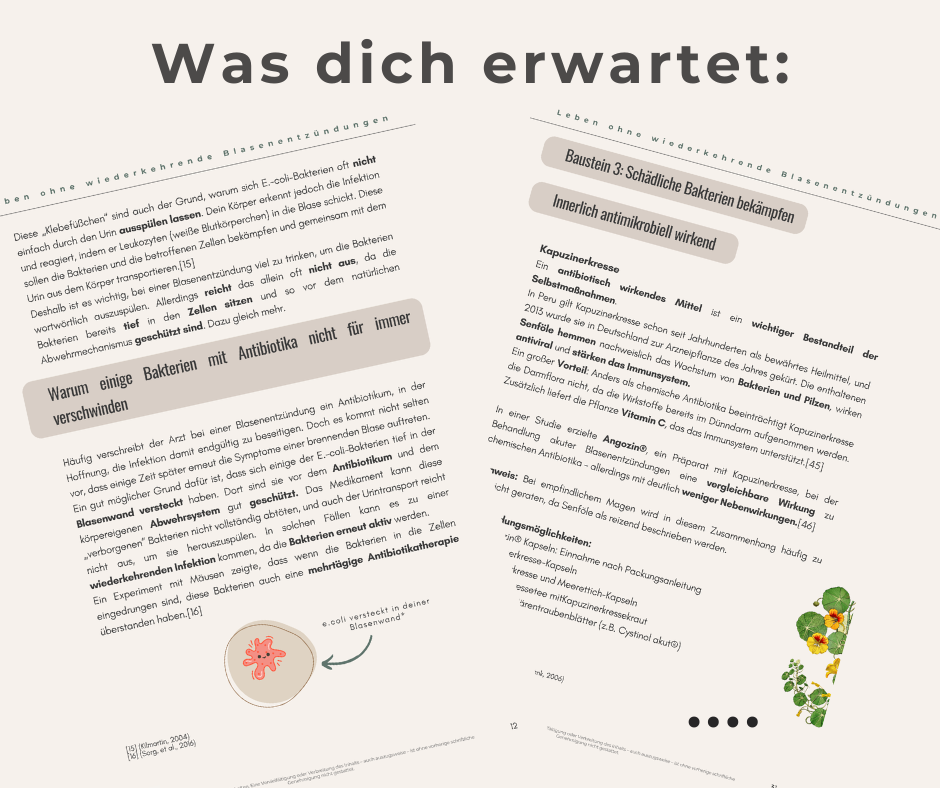 Wiederkehrende Blasenentzündung verstehen & durchbrechen - Ratgeber