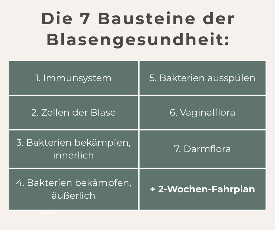 Wiederkehrende Blasenentzündung verstehen & durchbrechen - Ratgeber