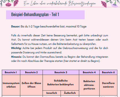 Ursachen-bekämpfung und Vorbeugung von wiederkehrenden Blasenentzündungen - Ratgeber