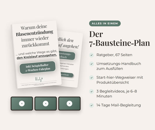 Der 7-Bausteine-Plan: Ratgeber, Umsetzungs-Handbuch, Wegweiser, 3 Begleitvideos, 14 Tage Mail-Begleitung