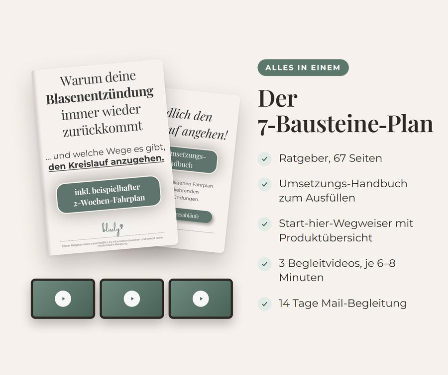 Der 7-Bausteine-Plan: Ratgeber, Umsetzungs-Handbuch, Wegweiser, 3 Begleitvideos, 14 Tage Mail-Begleitung