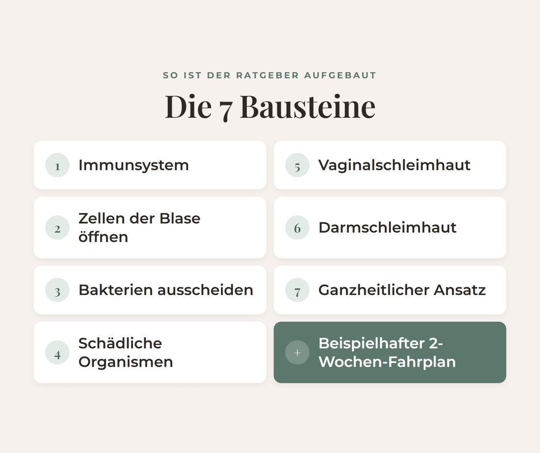 Die 7 Bausteine des Ratgebers