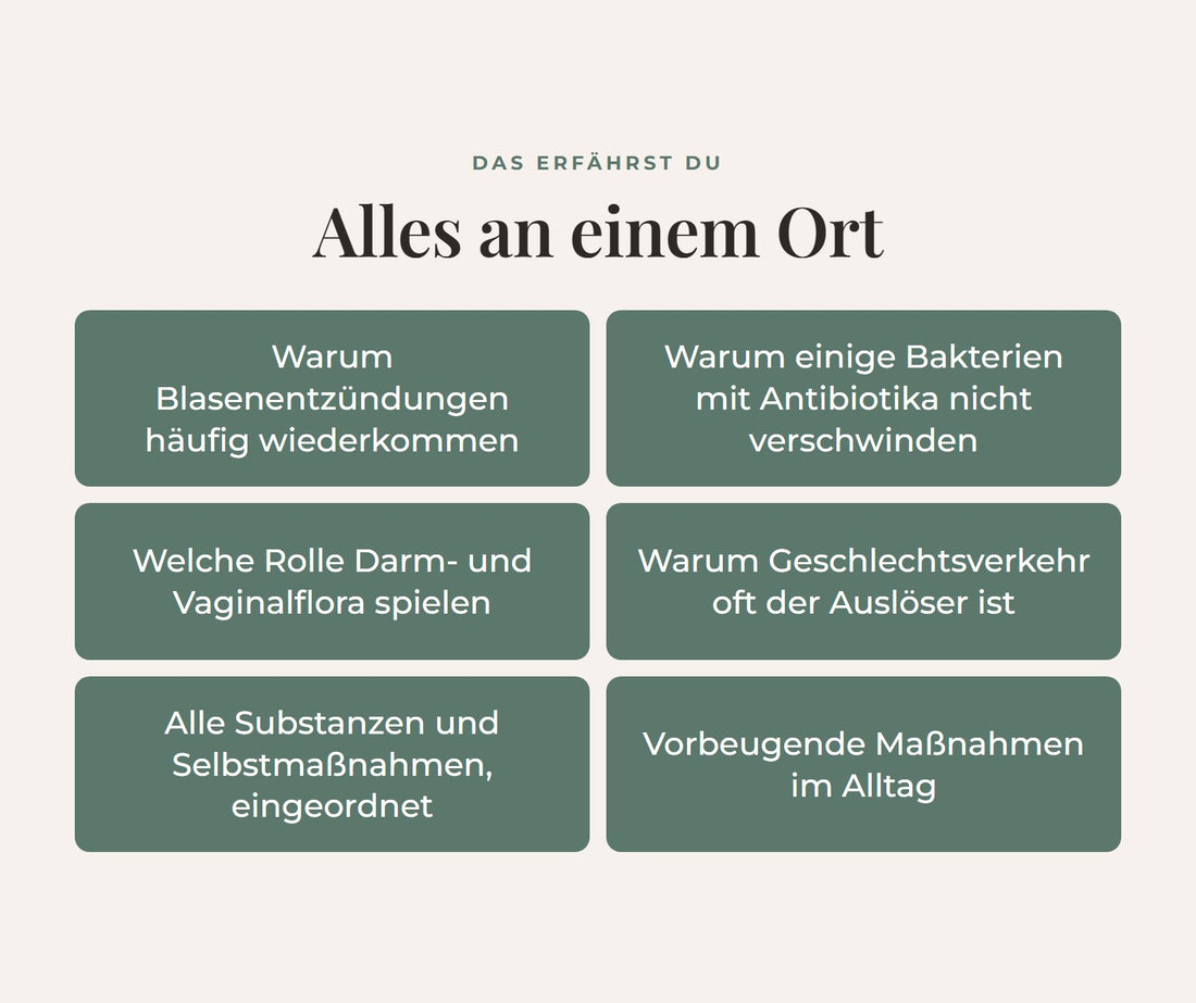 Themen des Ratgebers im Überblick