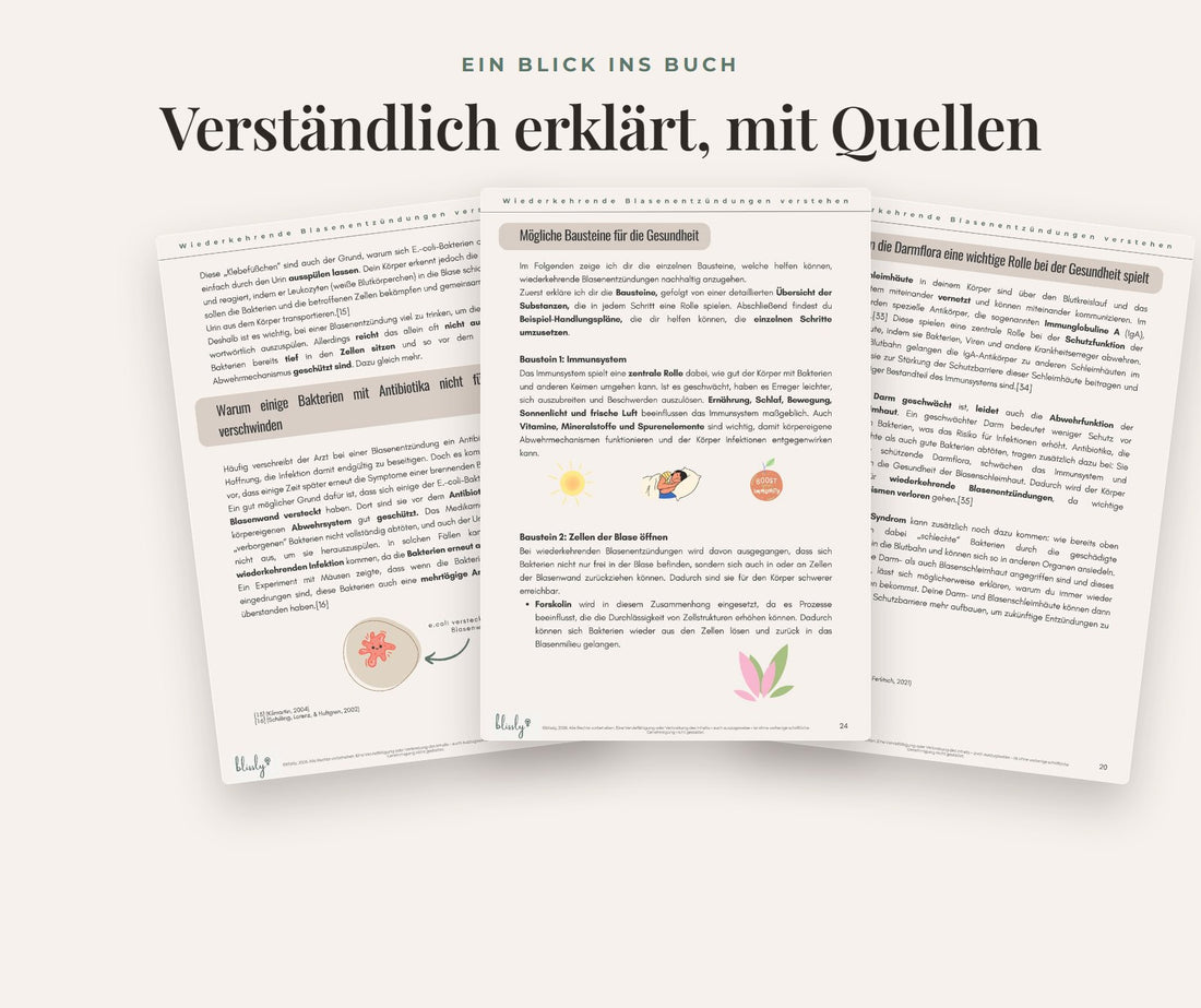 Ein Blick ins Buch: drei Seiten aus dem Ratgeber