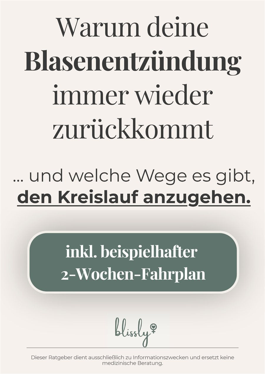 Titelseite des Blissly-Ratgebers